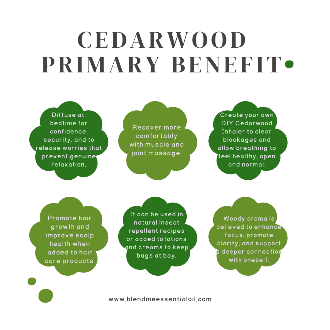 Cedarwood Atlas Essential Oil 10ml (Undiluted) 大西洋雪松木油