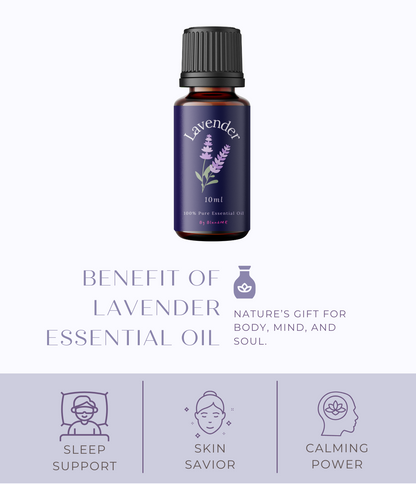 True Lavender Oil (France) 10ml (Undiluted) 法国薰衣草油