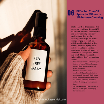 Tea Tree Oil 10ml (Undiluted) 茶树油