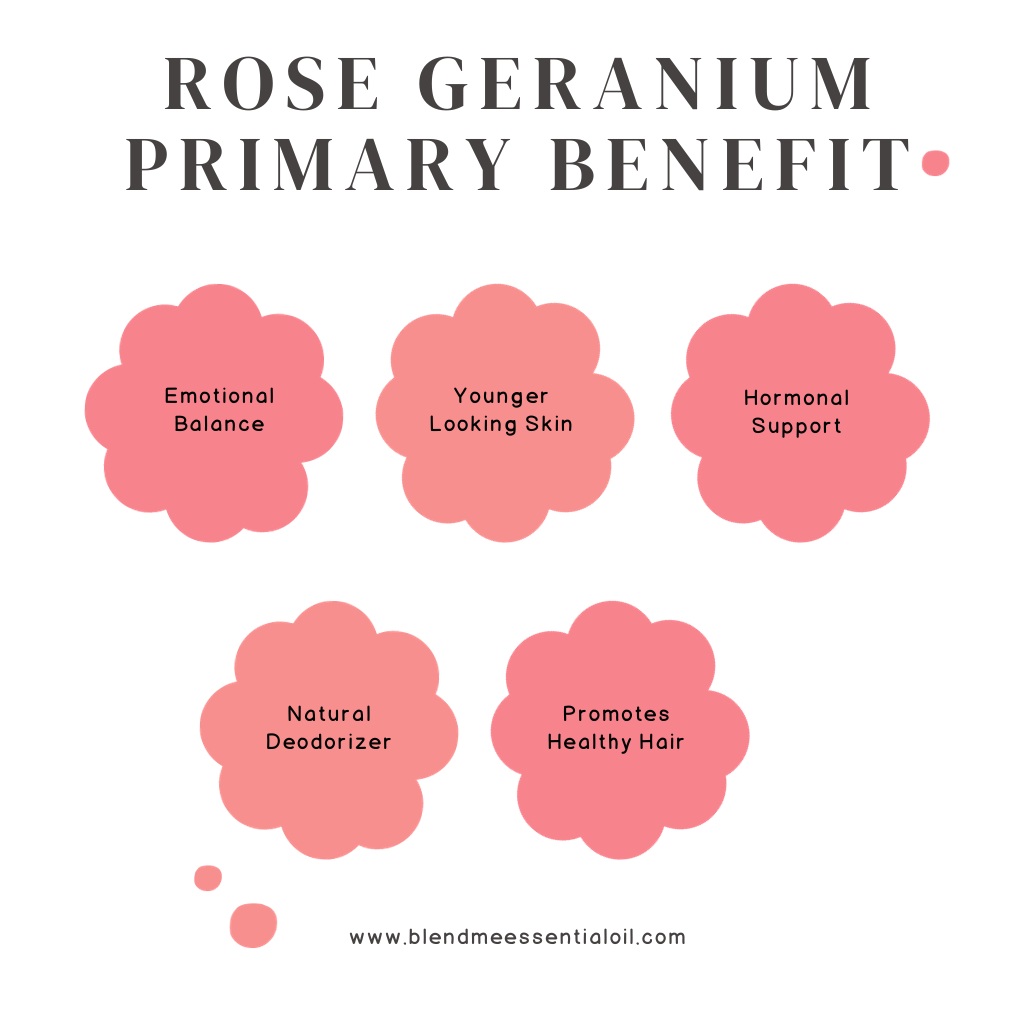 Rose Geranium Essential Oil 10ml (Undiluted) 玫瑰天竺葵精油